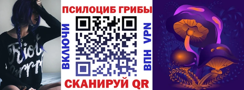 Купить закладки  Муравленко  Галлюциногенные грибы Cubensis 